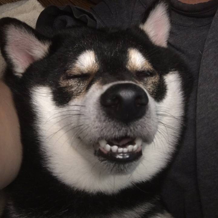 1517eace 01f6 4c09 9269 ae266f72c21e