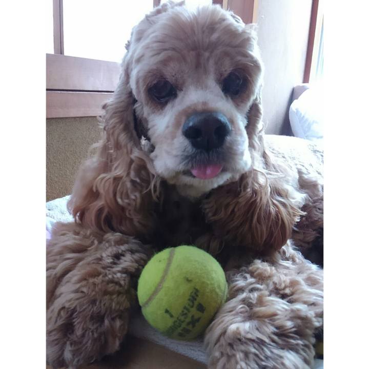 151866bf cf4e 49d3 a021 5630191a7e82