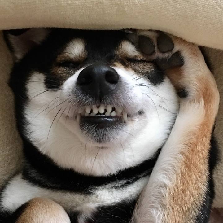 1518af3f f951 451d a84e 17d3ebfa4a33