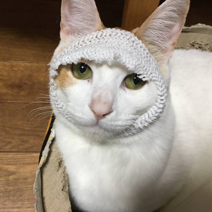 1518c433 c41f 45d1 bbba b1040179fe2f