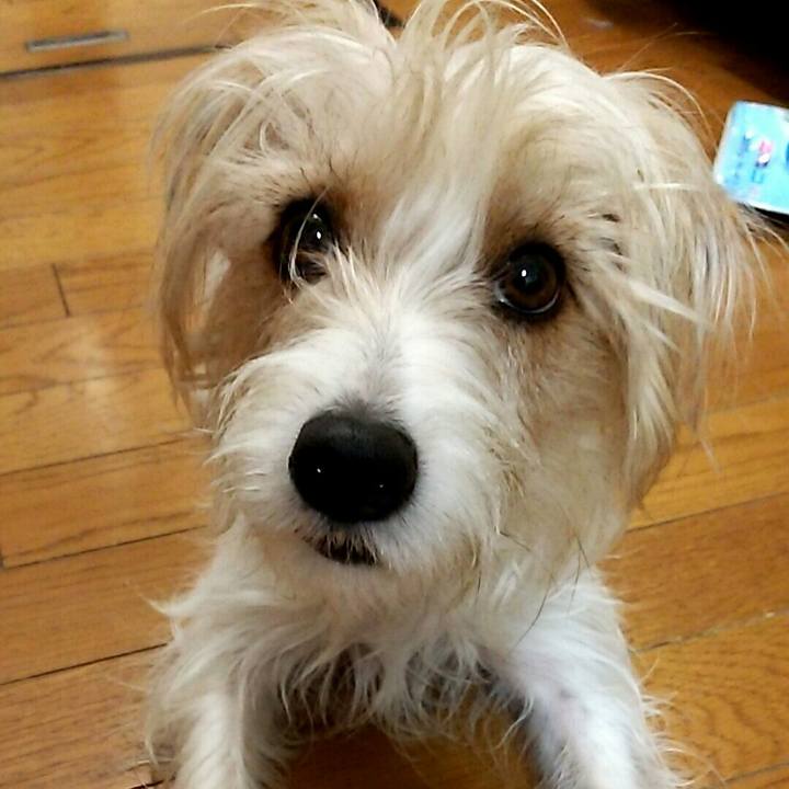 151945a2 ea08 4056 a079 1022a7d19eb7