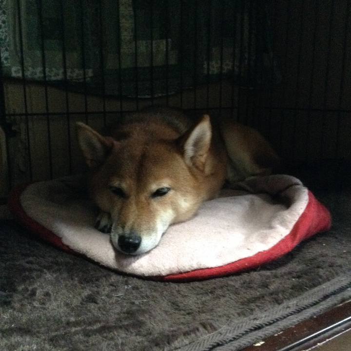 1519c02f 2ffa 4810 8304 1f6a43e3510f