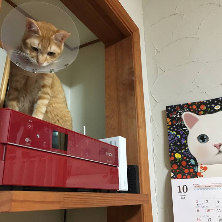 151a5f20 82bc 45f1 a442 00d5f57df35b