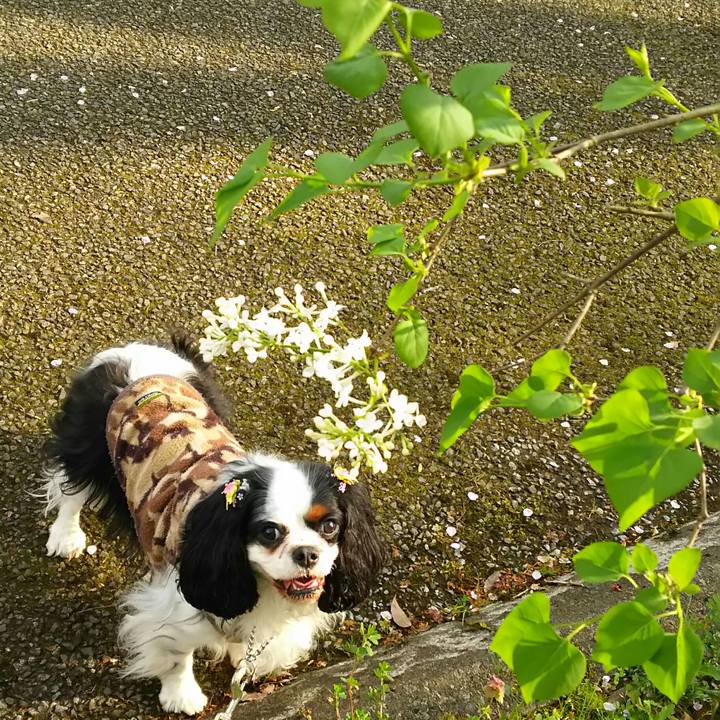 151ae72f ca53 48e9 a47e 342c4145bf44