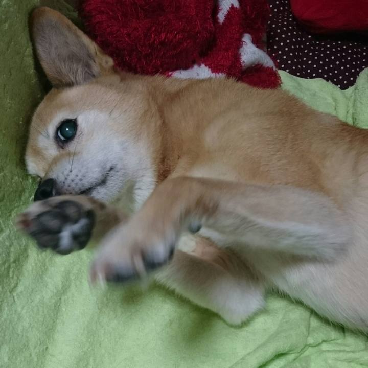 151b442e 0c78 49b2 b65e 1dbe83bb9fb0