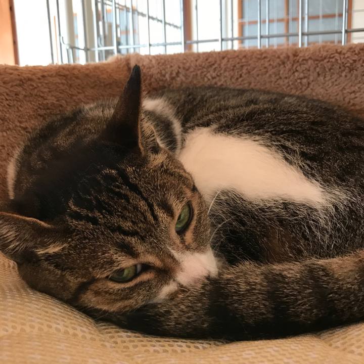 151bbd08 205b 4ff1 8f49 1be39c7932c8