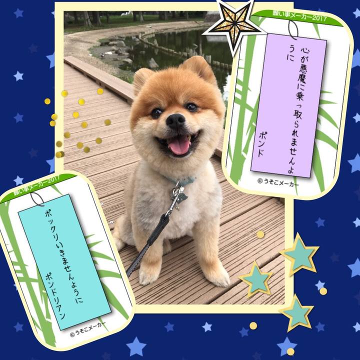 151bc1de 5ad4 4757 bbf7 838f82ed709b