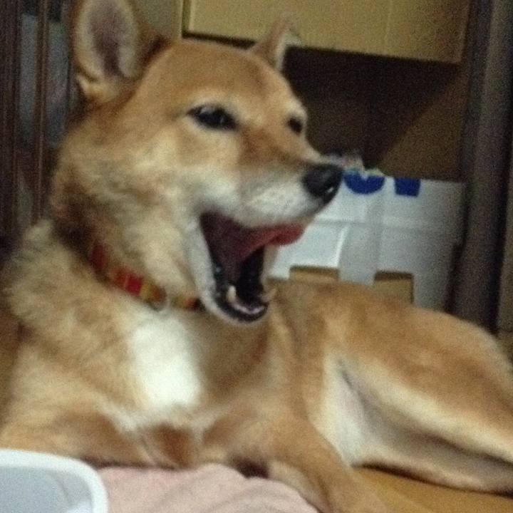 151be92a 7ed9 40c0 a61b c3bcdf4aaa46