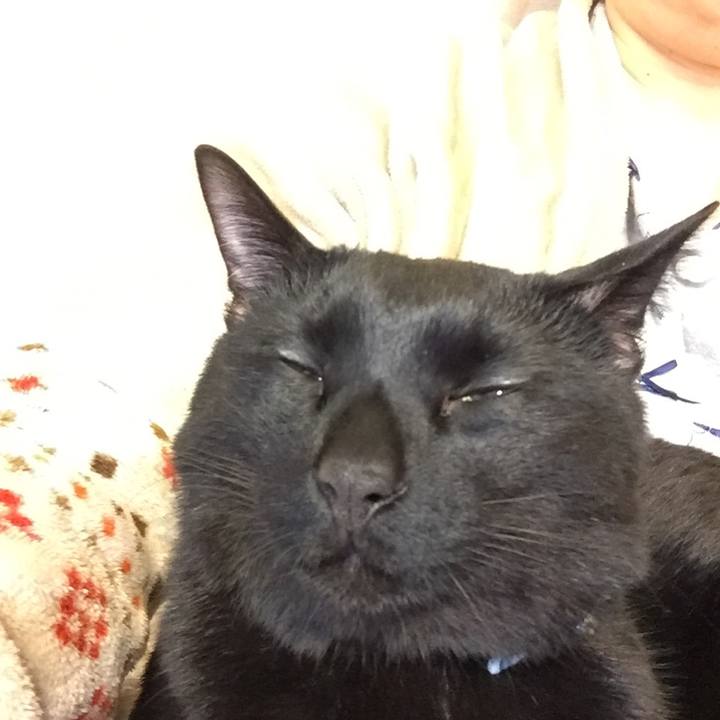 151bf847 3525 4180 8811 bed4b0c60469