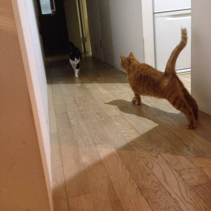 151d33b9 23cb 4319 996b 273d22c47d77