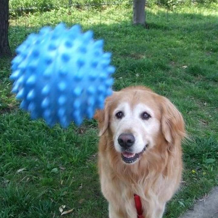 151d52ea 9151 452d 85dc dc554cb9679d