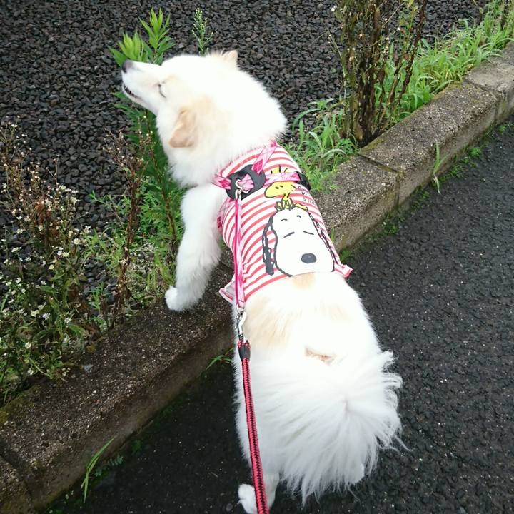 151d8f6a eac3 473f 9893 bc0ca4aef549