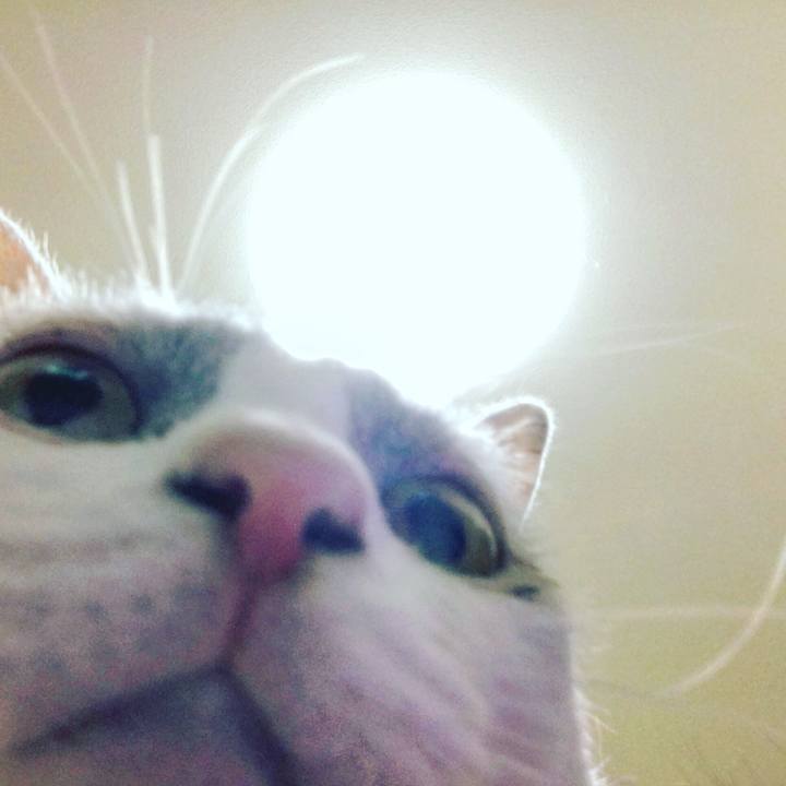 151e3539 ac0f 409f bfad 5369bc74f8f5