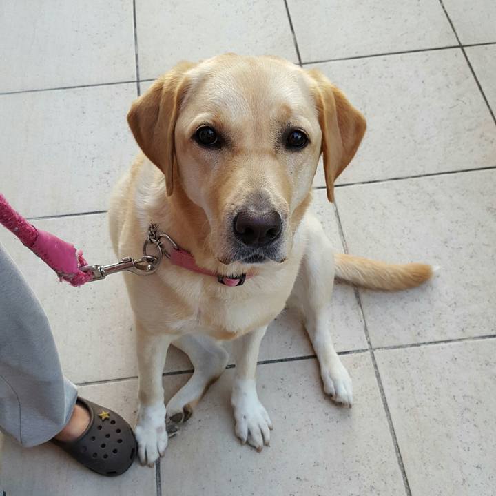 151e6958 67f8 4395 8fc4 14793e268998