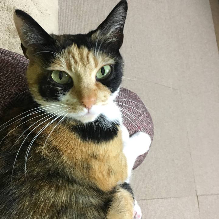 151f0170 d7d3 4d6c a2cc cc5969713c51