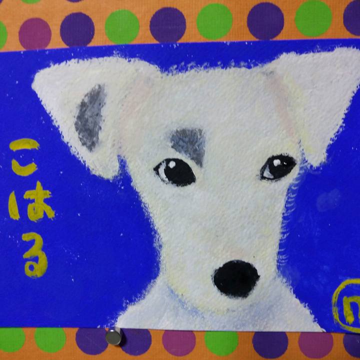 151f0976 9899 4c9c b372 034dd17e88b1