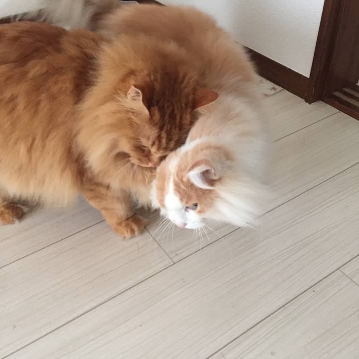 151f27ba a123 4471 a259 3fef84f1b449