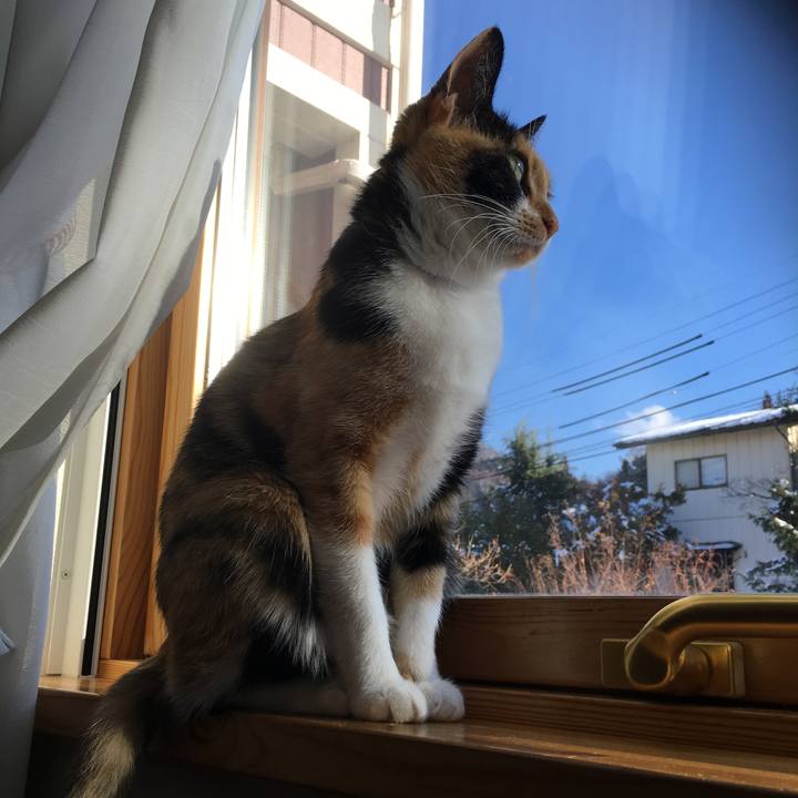 151f54b5 0314 4195 b6ab 9aa530e84e62