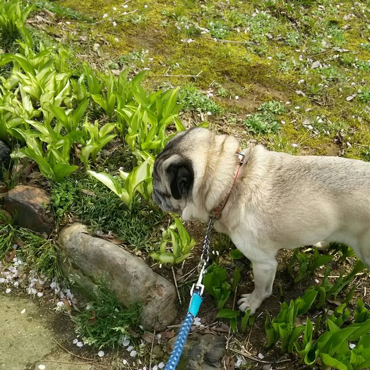 151f9232 e0cb 425d aeea da1e81cf142d