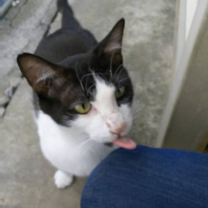 151fbff3 9600 4436 8bcf 8998ca1cf8c1