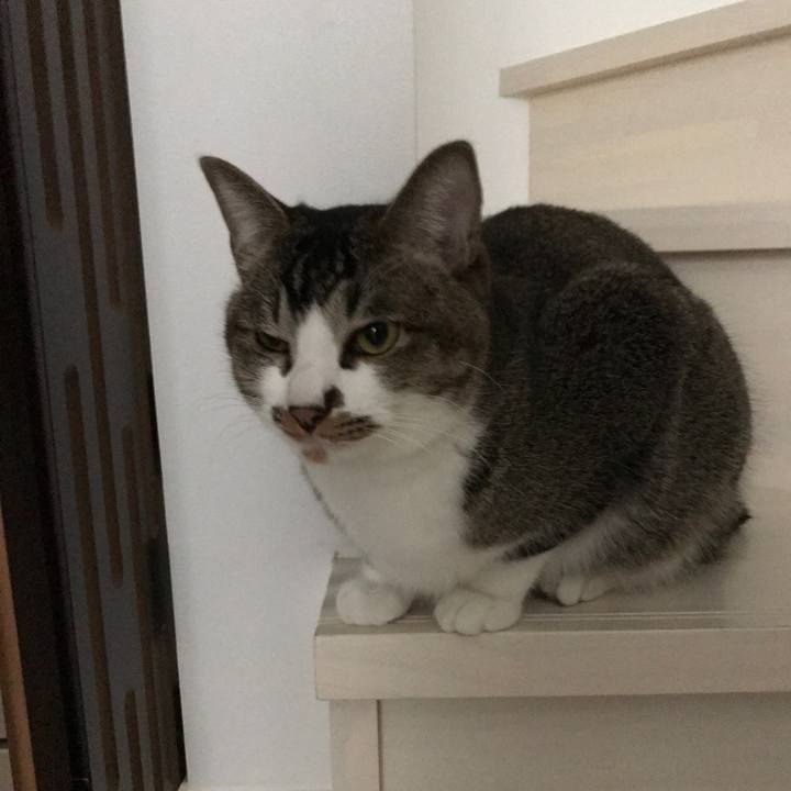 151ffc5d 281e 4062 90d1 3c5eff0e200c