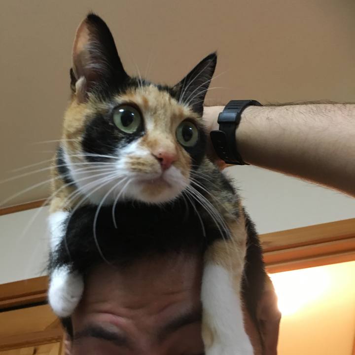 1520435d 7210 4625 b6ef 4bfbdee06f2c