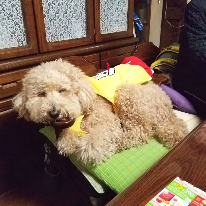 15205dc6 0ce0 464f a5a7 39d19c255c2d