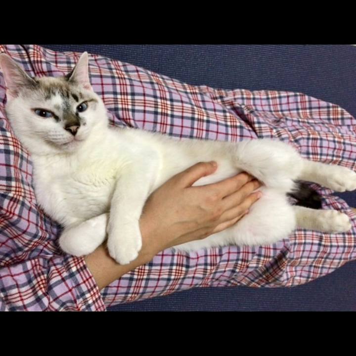 1520665f 7834 49b4 911c b0b747d2541e