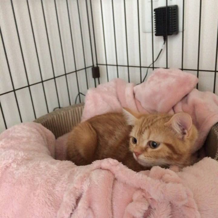 1520c8ce 2cba 431f 96af 10b852e9c7ee