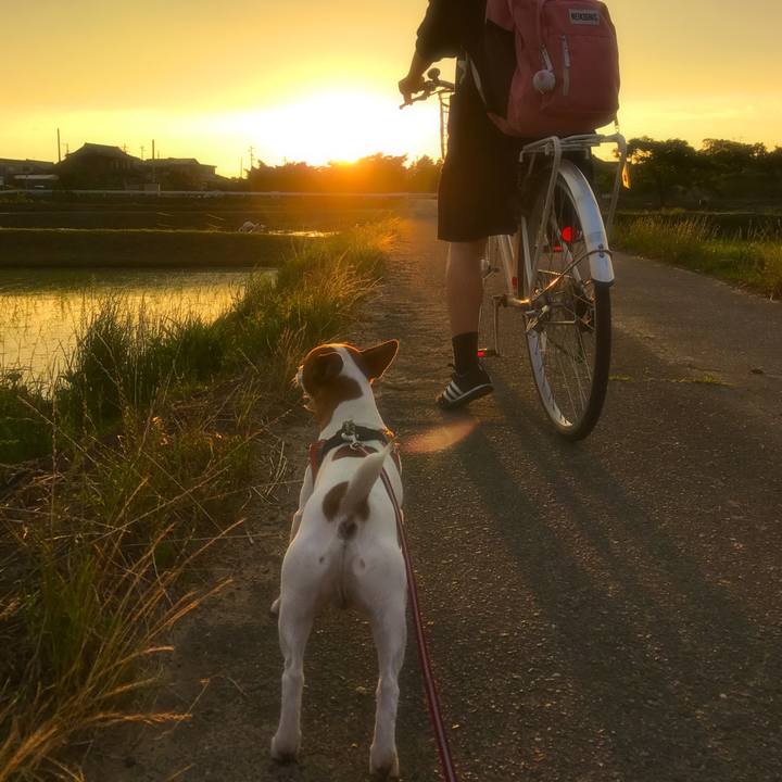 15217033 3bb1 4d49 aeae 6e3490315425