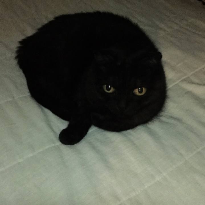 1521c567 f1db 42e4 b5b7 142f26ffeb20