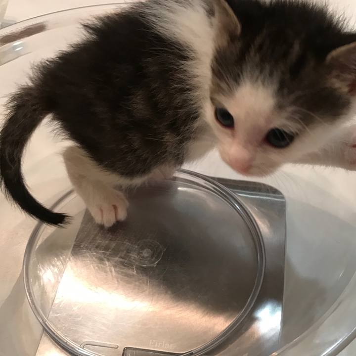 152240f7 6ff2 4150 82de bc1e79350069