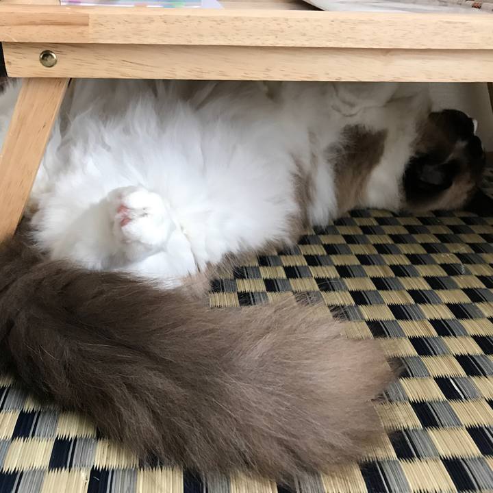 15224542 8918 47f2 929b 97e63ed1b02d