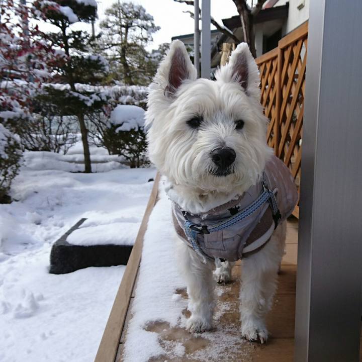 15225809 ec1b 45a9 bf8f f25f19d84e61