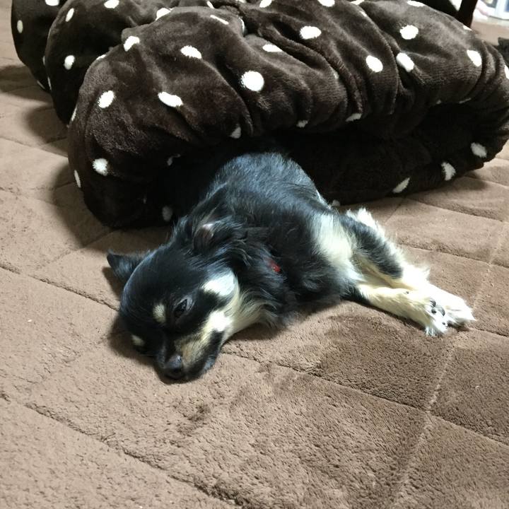 152295c2 c755 49cf b02f 577182043123