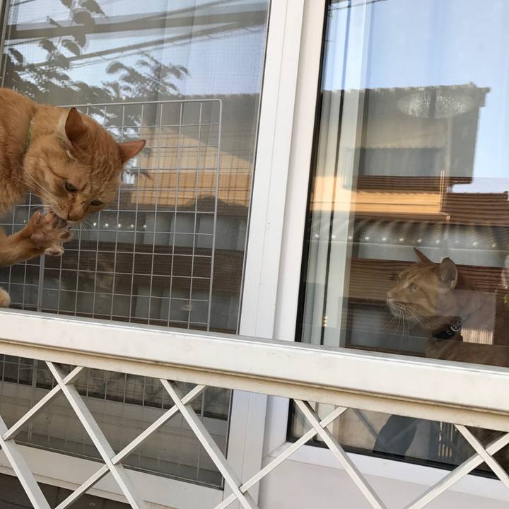 1522e187 43f1 41ce 91f8 3b47ad2271be