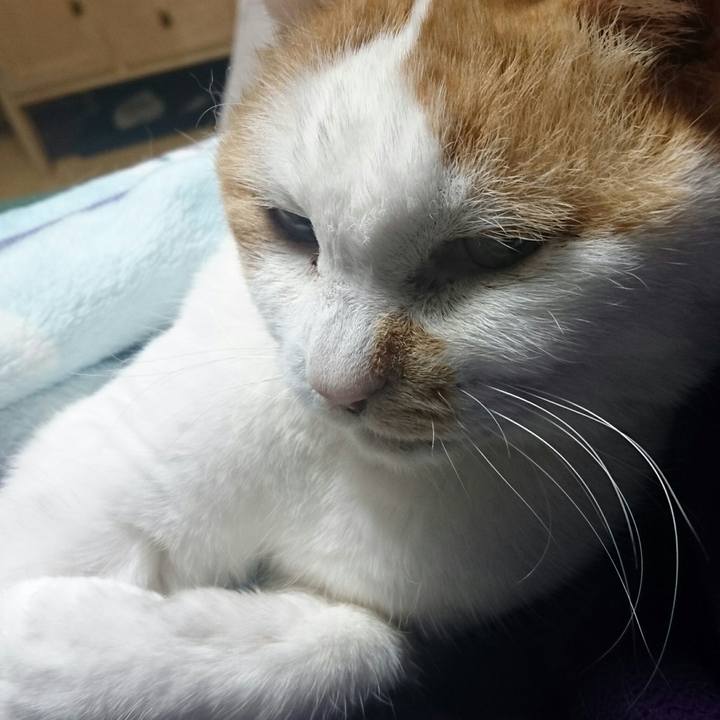 152355d5 f173 4cf9 b02e b1b6b06d8809