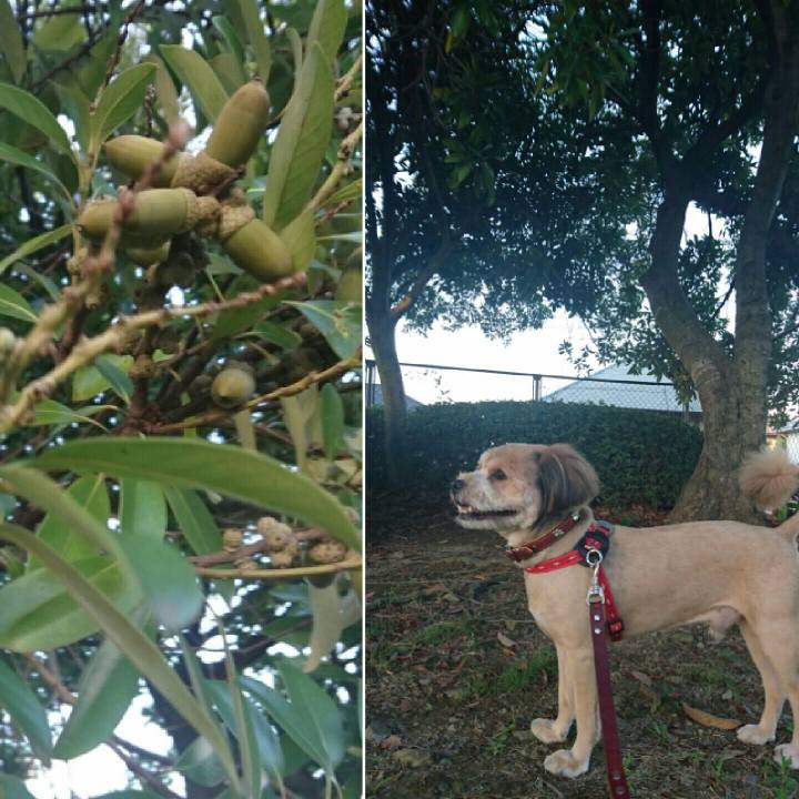 1523818d 7e32 4305 858b be1dcb92798b