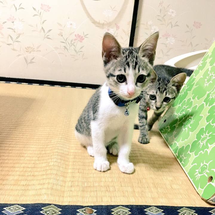 1524881f a75e 437c a9f1 675237510af7