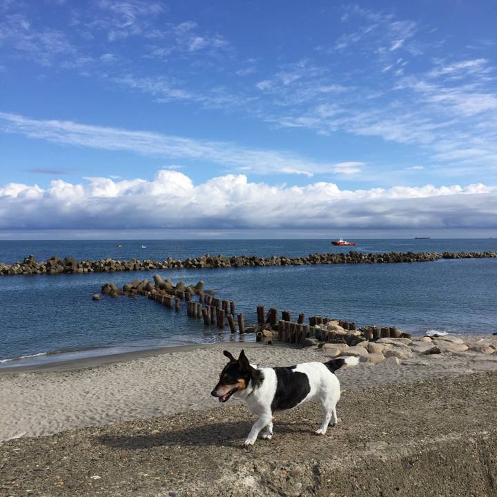 1525109a 5ea7 4a61 bc6c 520b10ed1a35