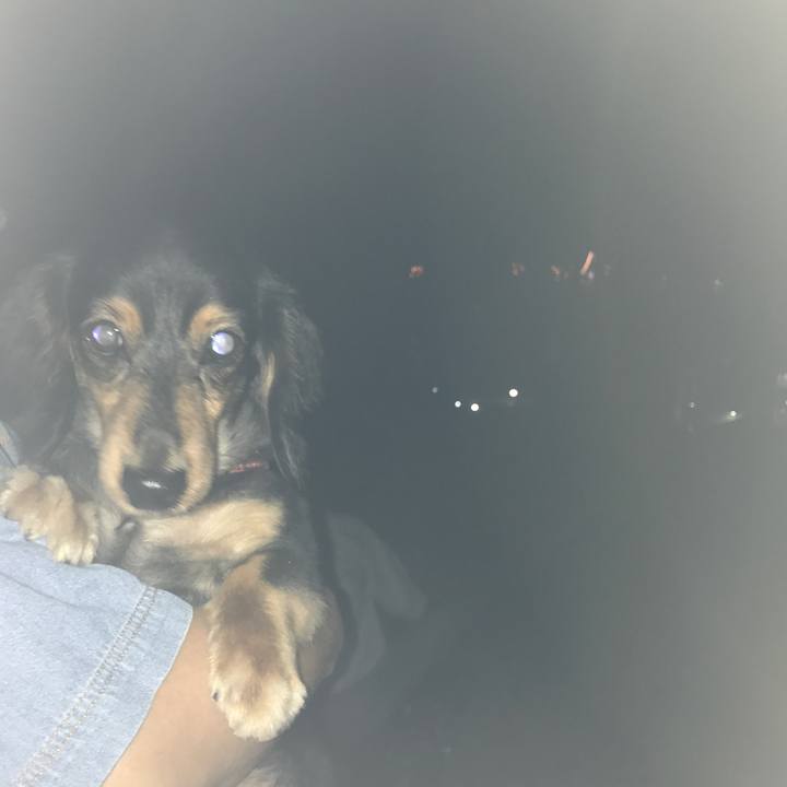 15258aed 5ba1 46c5 9097 82a378a3c63f