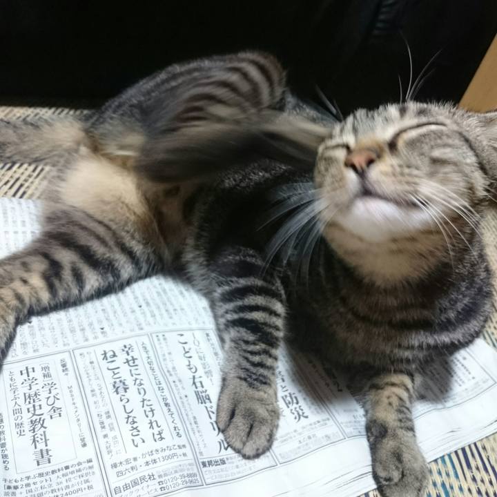 152623b4 c6e7 4fd4 9fd8 8bfc88ca5df9