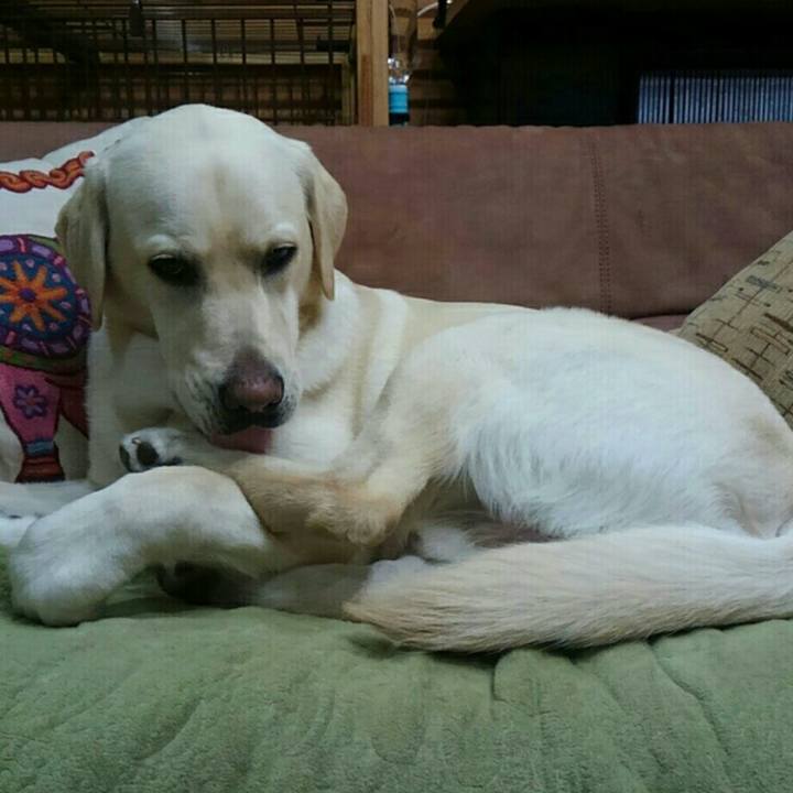 15266c6f 2538 4e41 9561 ccd74f76d258