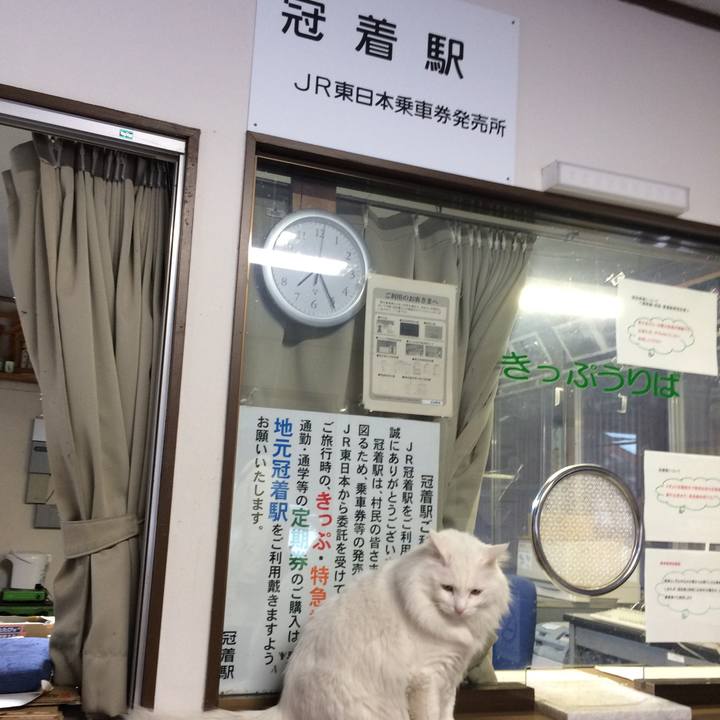 15267cb3 0ca6 4a41 bad6 f1ffd0fc7cfc