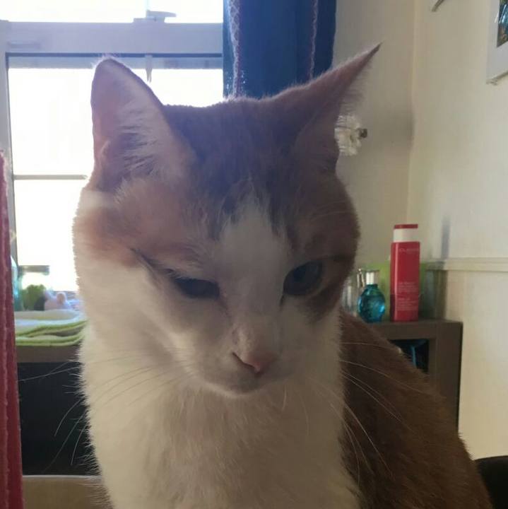 15271e49 bd88 4679 84eb eb545daad38c