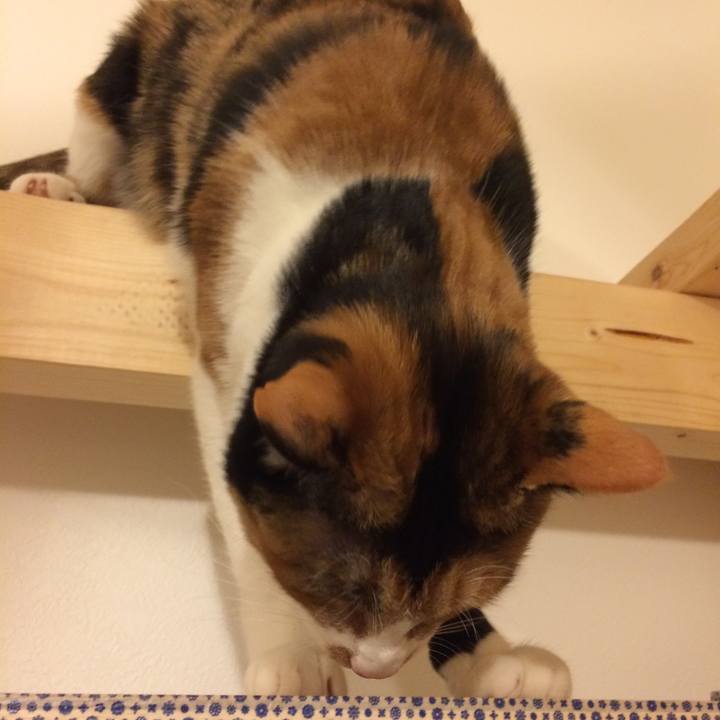 15276db0 2a90 405a ba56 4e75fdf16a05