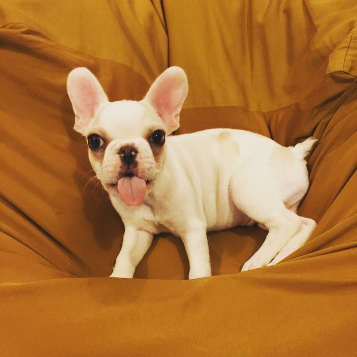 15278386 b878 4c37 9a2c 9381cada9c36