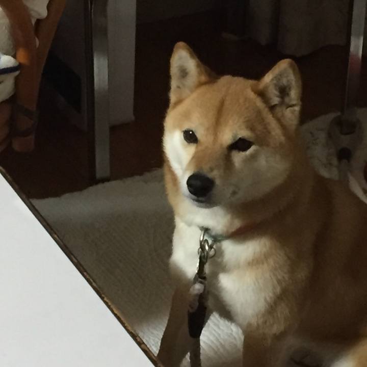 1527ad71 70ce 4e6b 97d7 2b6c914a0fc9