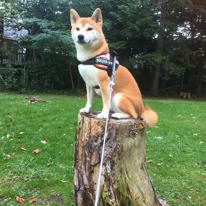 15285210 46b7 44b1 84ce b48c7afe11b3