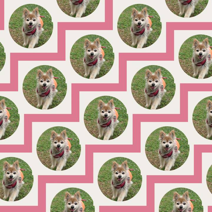 152ae5f2 c147 4300 b433 23a621f01557